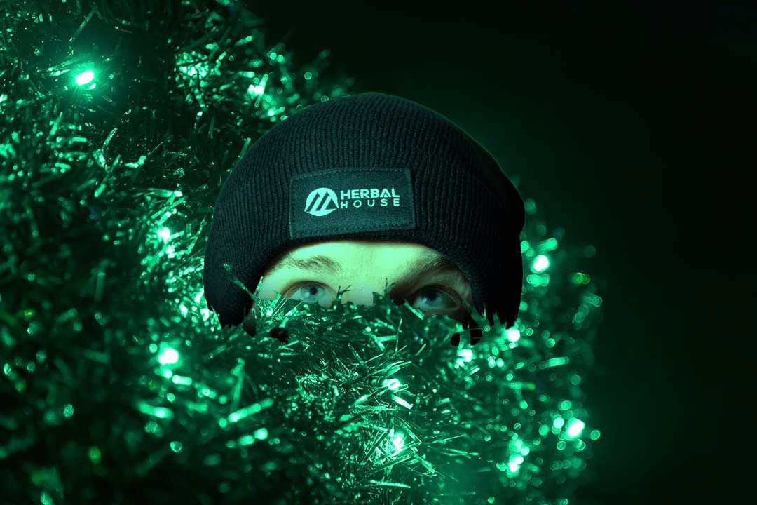 How does green light affect plant growth at night? » Growwarehouse