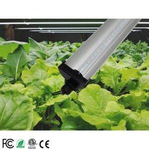 grow lights 1