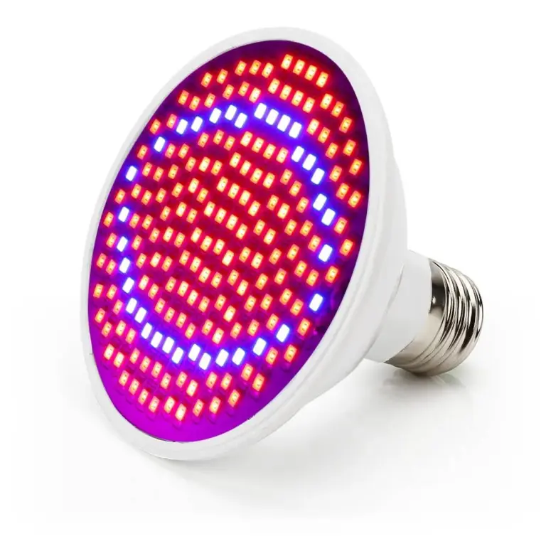 Home 1 LED Grow Lights & Grow Tents NZ